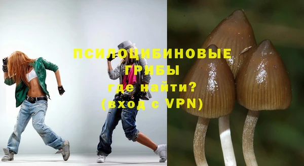 а пвп мука Алзамай