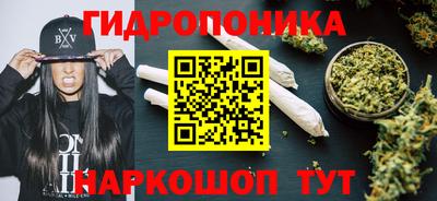 шишки Кандалакша