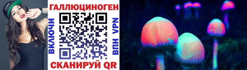 Псилоцибиновые грибы Psilocybine cubensis  блэк спрут как войти  Кулебаки 